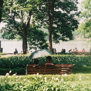 天川夏凪酒井圆软体多少钱一瓶
